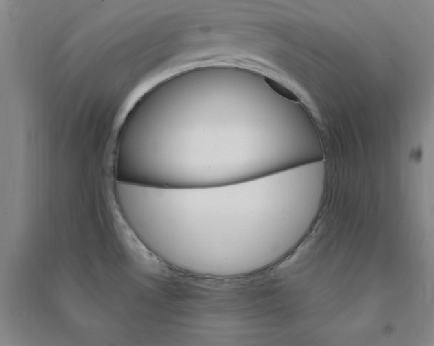 X0000090911530200708201729