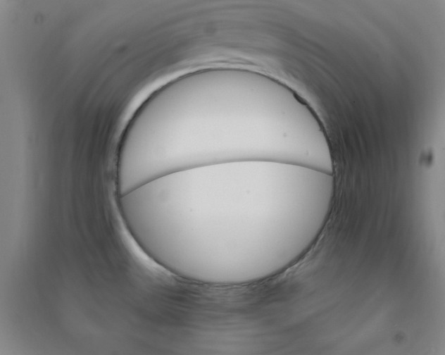 X0000090911531200708201729