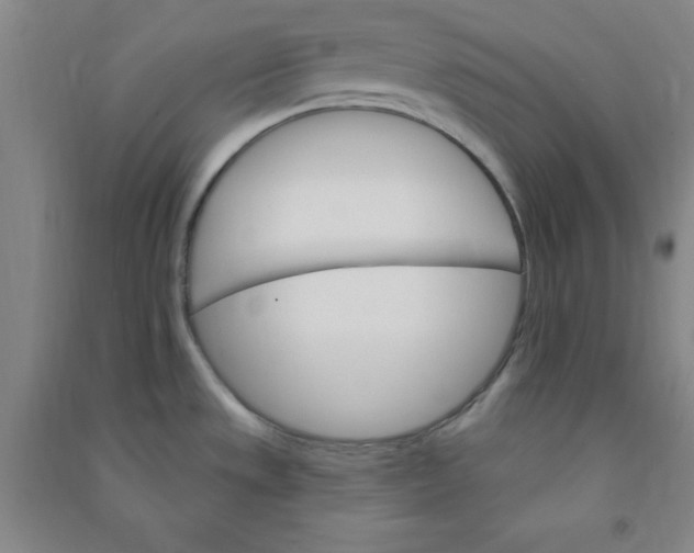 X0000090911533200708201729