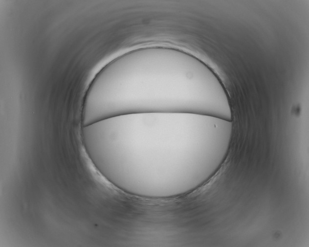 X0000090911534200708201729