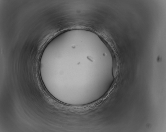 X0000090910001200708271014