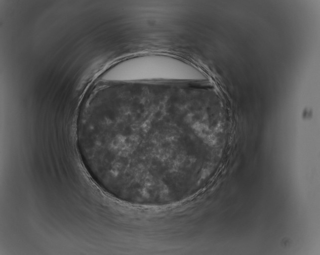 X0000090910002200708271014