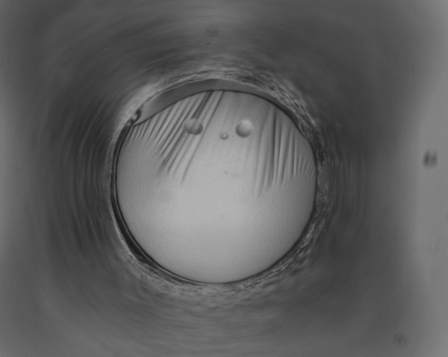 X0000090910003200708271014