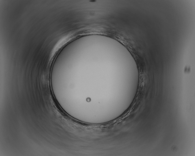 X0000090910004200708271014