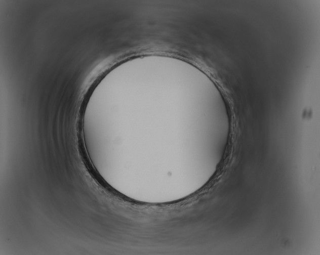 X0000090910007200708271014