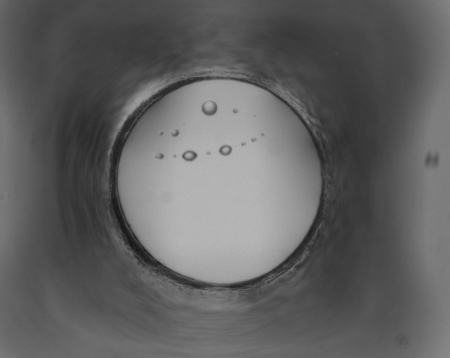 X0000090910008200708271014