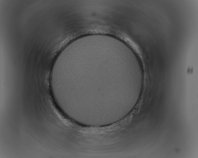 X0000090910009200708271014