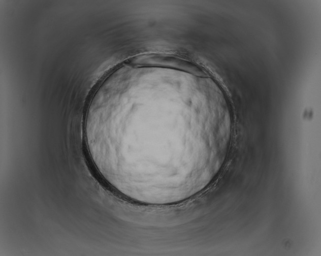 X0000090910011200708271014