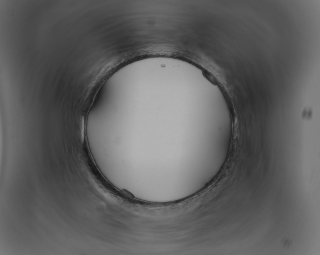 X0000090910013200708271014