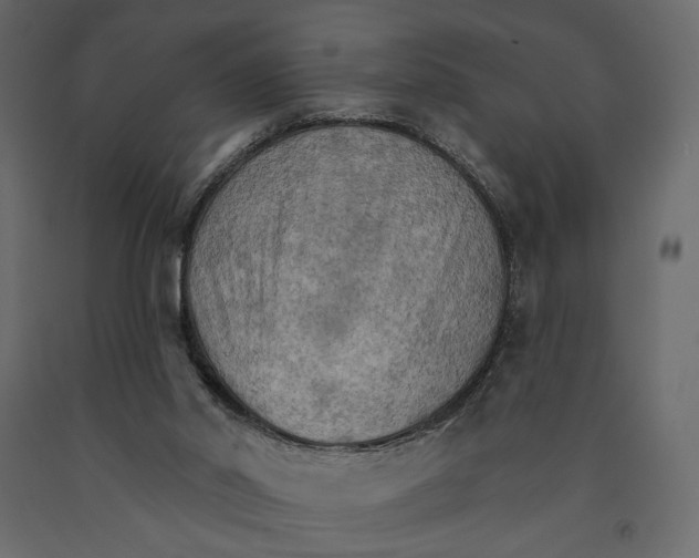 X0000090910014200708271014