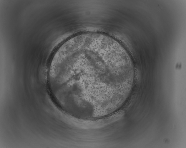 X0000090910016200708271014