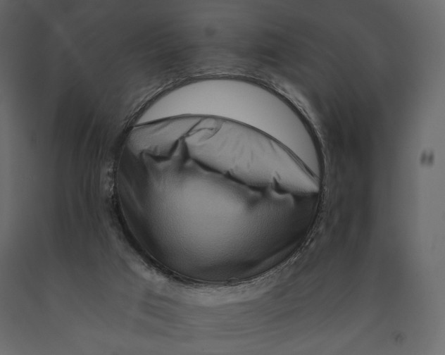 X0000090910017200708271014