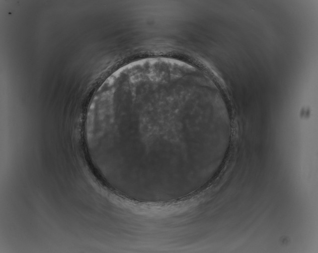 X0000090910018200708271014