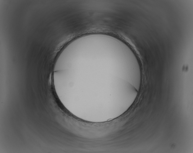 X0000090910019200708271014