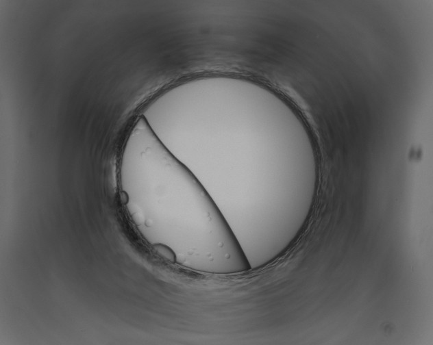 X0000090910020200708271014