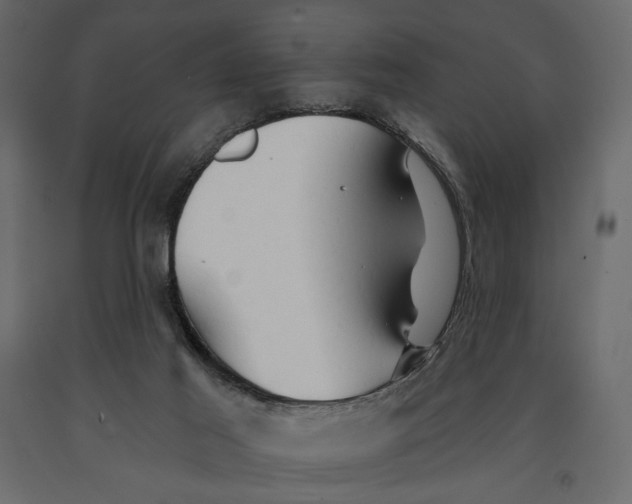 X0000090910021200708271014