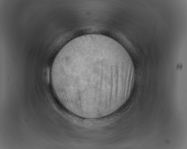 X0000090910022200708271014