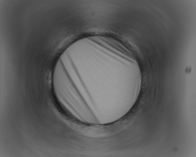 X0000090910024200708271013