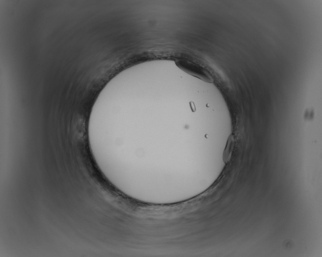 X0000090910025200708271013