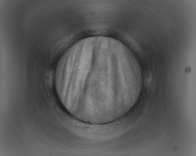 X0000090910026200708271013