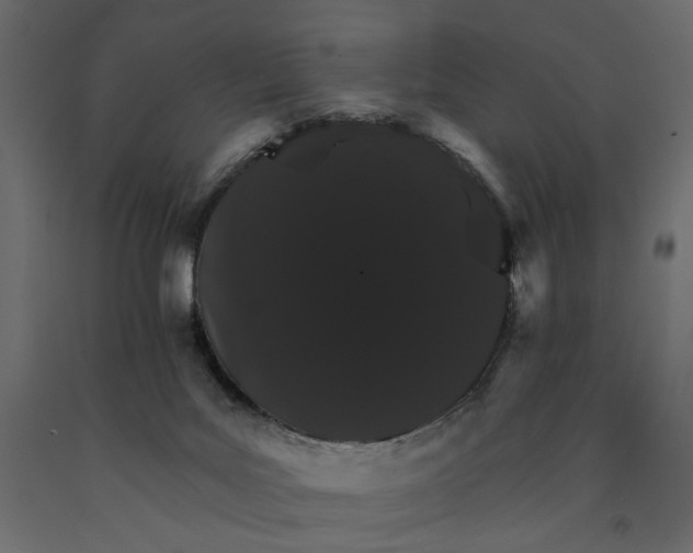 X0000090910027200708271013