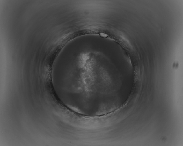 X0000090910029200708271013