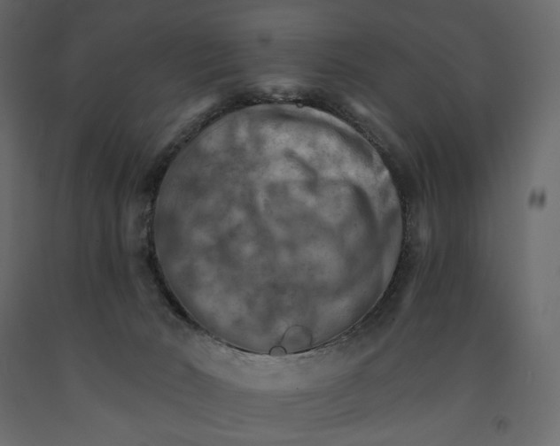 X0000090910030200708271013