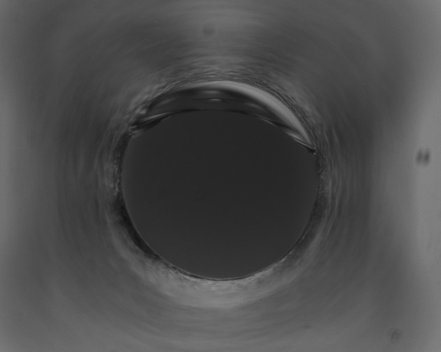 X0000090910031200708271013