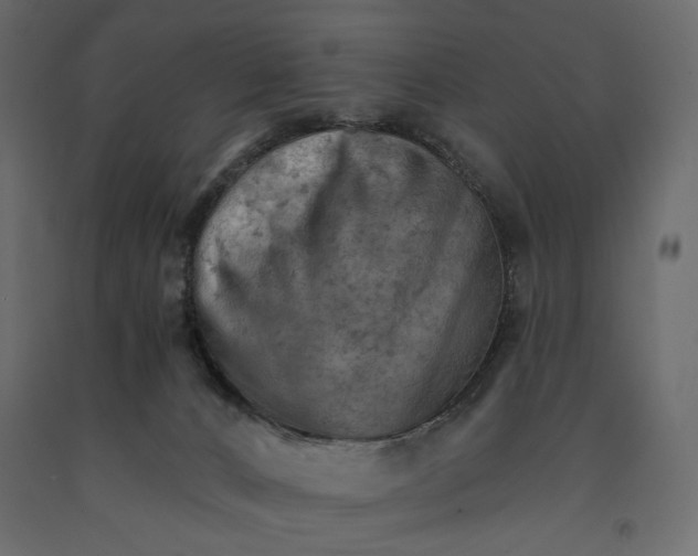 X0000090910032200708271013