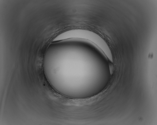 X0000090910033200708271013