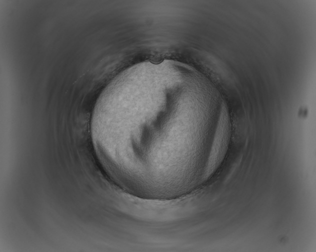 X0000090910034200708271013