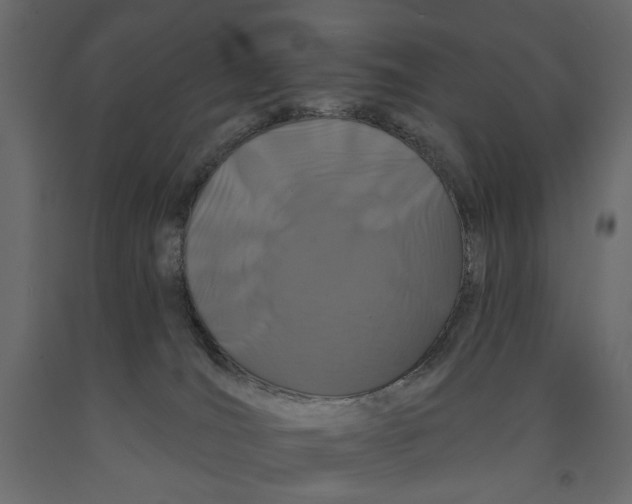 X0000090910036200708271013