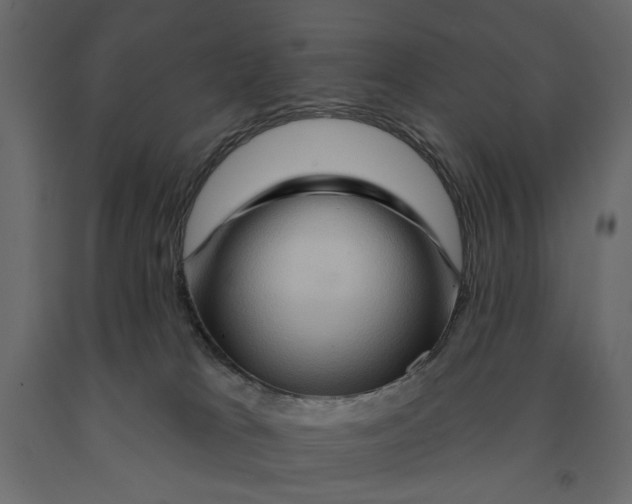 X0000090910037200708271013