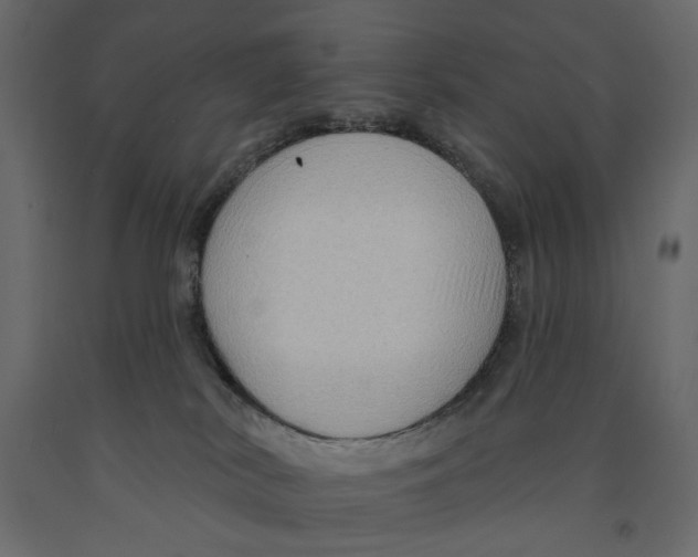 X0000090910038200708271013