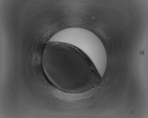 X0000090910039200708271013