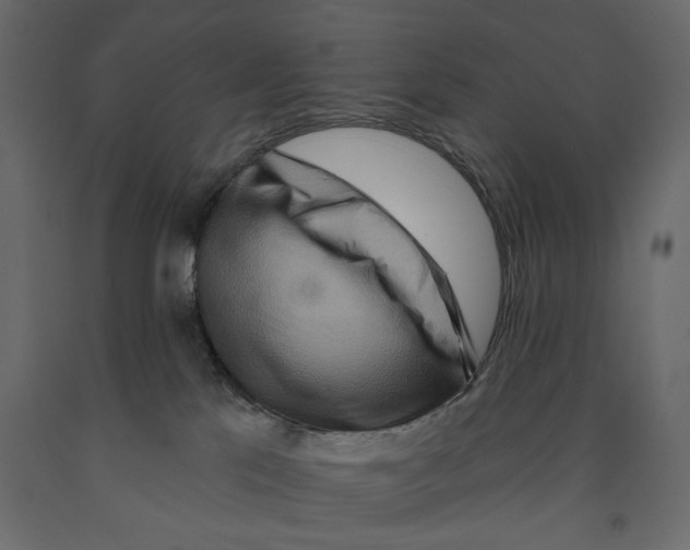 X0000090910041200708271013