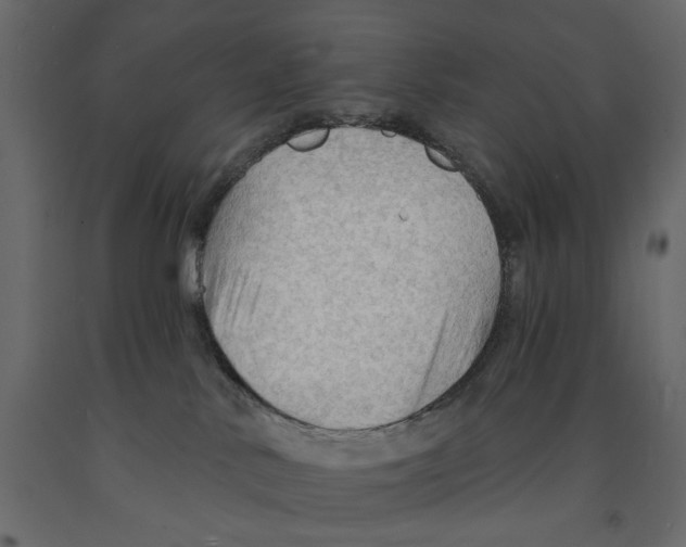 X0000090910042200708271013