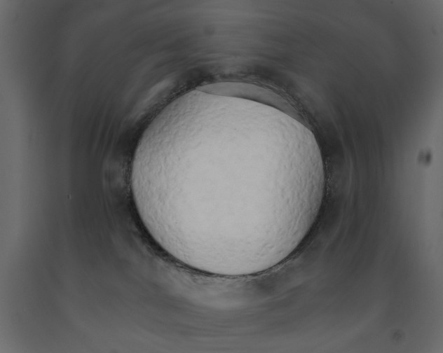 X0000090910044200708271013