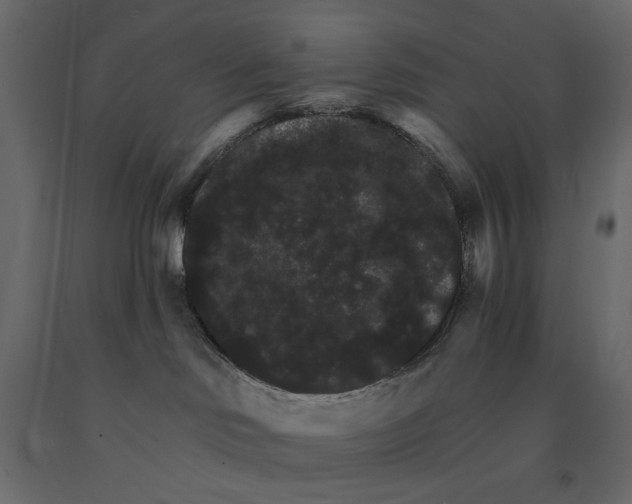 X0000090910046200708271013