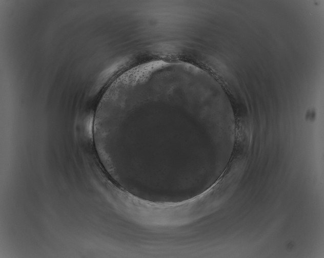 X0000090910047200708271013