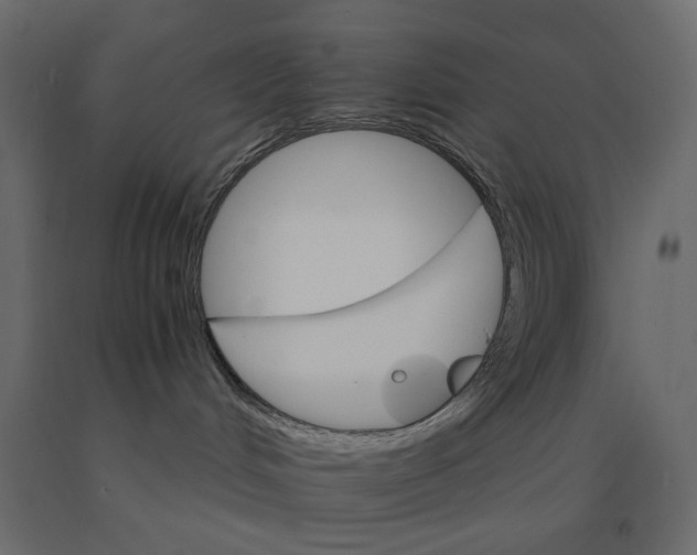 X0000090910048200708271013