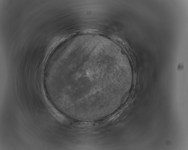 X0000090910049200708271013