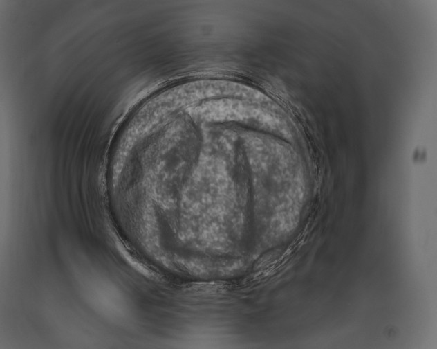 X0000090910050200708271013