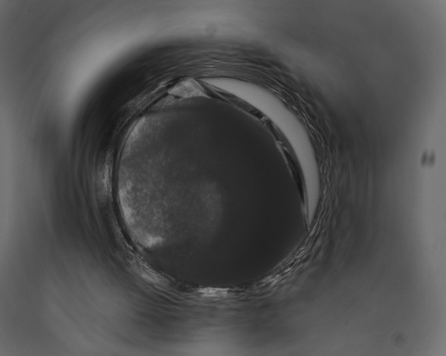 X0000090910052200708271013