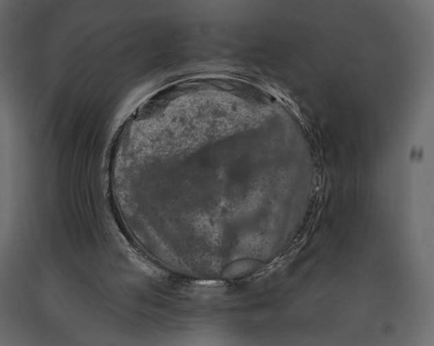 X0000090910053200708271013