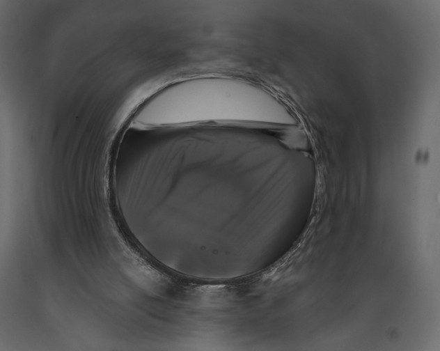 X0000090910054200708271013