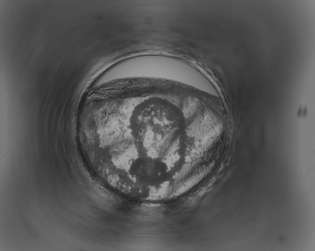 X0000090910055200708271013