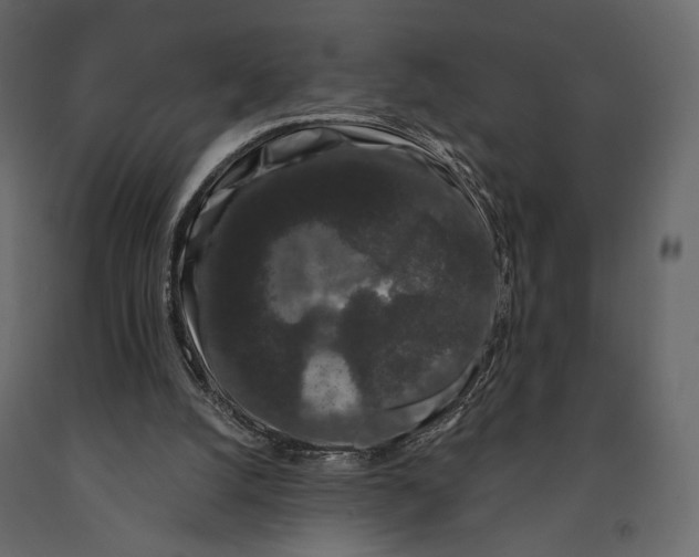 X0000090910056200708271013