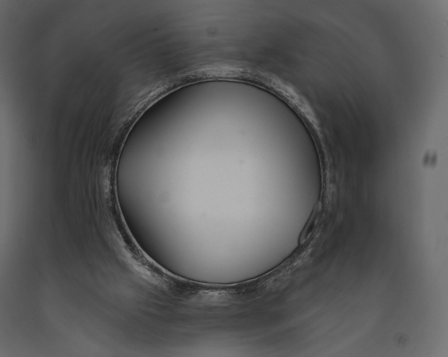 X0000090910057200708271013