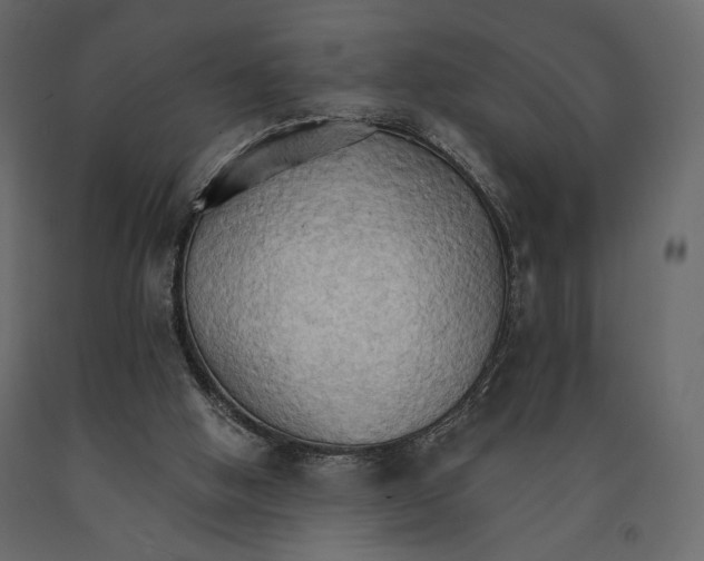 X0000090910058200708271013